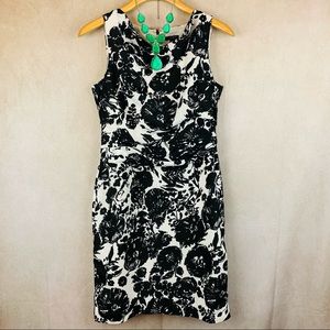 Ann Taylor | Ruched Dress | Black & White | 6
